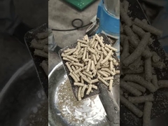 Pellettatrice per segatura 800kg/H 1000kg/H Biomassa Piatta